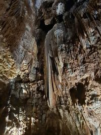 Jama Grotta Baredine, Nova Vas