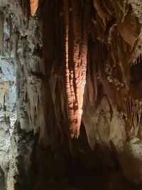 Jama Grotta Baredine, Nova Vas